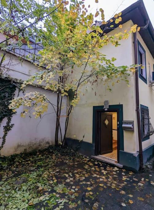 Maisonette Balcesco Brasov Exterior photo